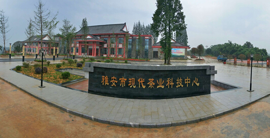 蒙顶山茶叶交易所