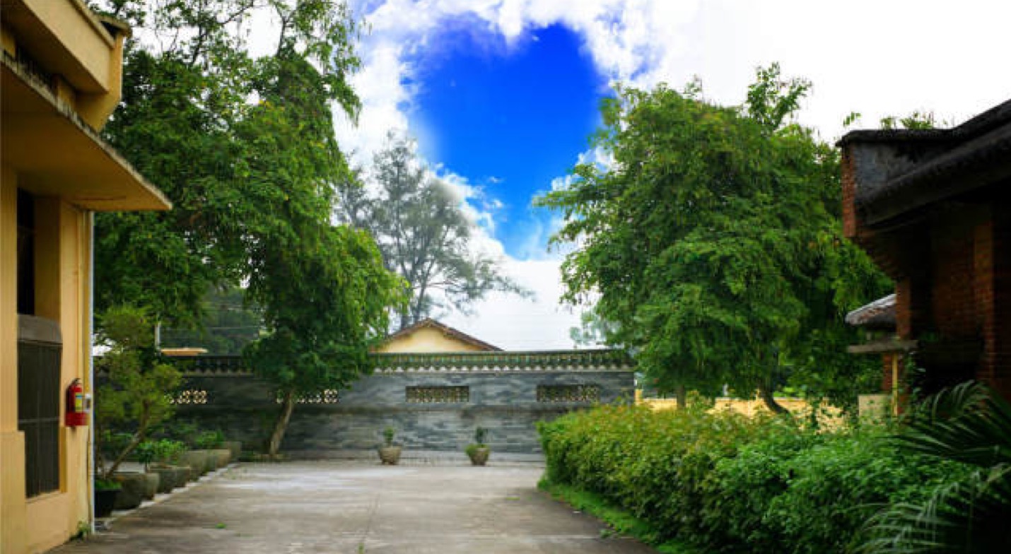 蒙顶山茶叶交易所