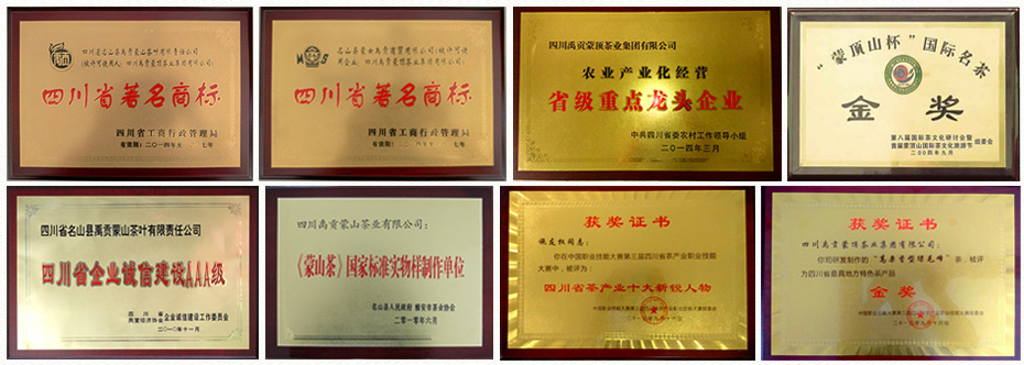 蒙顶山茶叶交易所